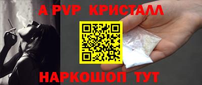 шишки Кингисепп