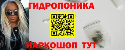 шишки Кингисепп