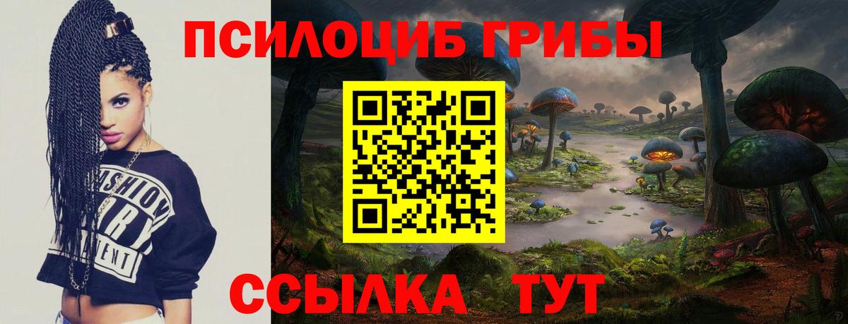 купить наркоту  Псилоцибиновые грибы MAGIC MUSHROOMS  Вход с VPN  Коммунар 